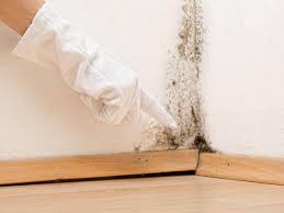 Professional Mold Remediation in Diamond Springs, CA